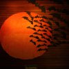 halloween_2011_6_20150209_1079536796