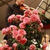 festkonzert_2_20150209_1663891789