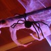 halloween_2013_13_20150209_1386220051