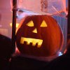 halloween_2013_3_20150209_1218814770