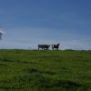 huettenaufenthalt_november_2014_10_20150209_1099837740