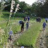 sensenmaeh-wettbewerb_16_20150512_1323700665