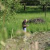 sensenmaeh-wettbewerb_19_20150512_1018921155